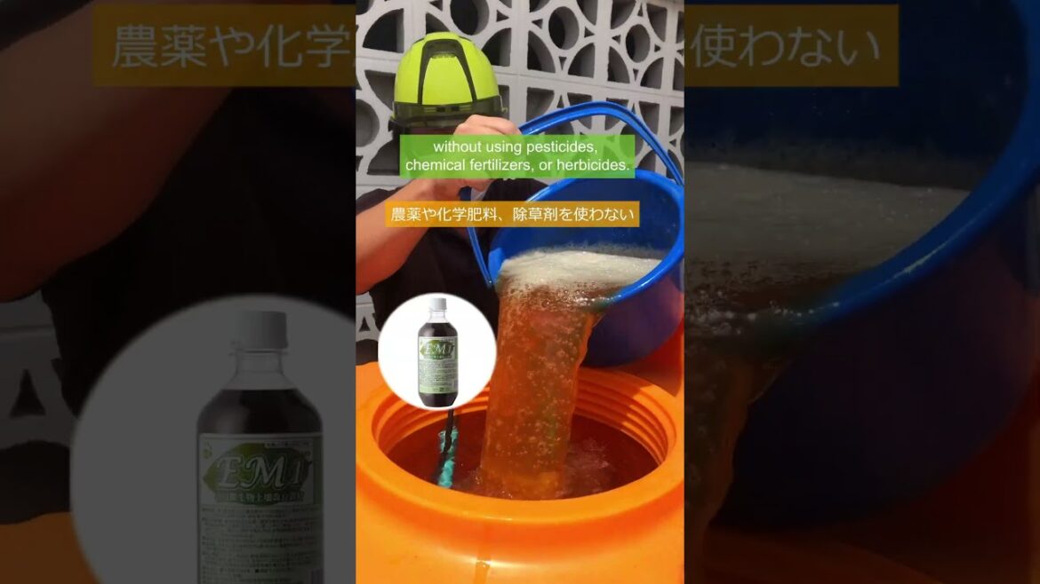 The Sustainable and Eco-Friendly Hotel in Okinawa Japan #shorts