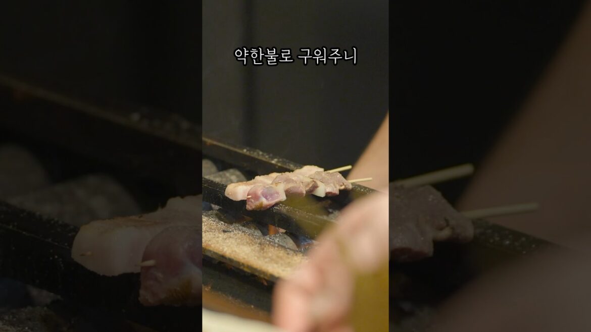 후쿠오카 여행 센빠이 야키토리 맛집