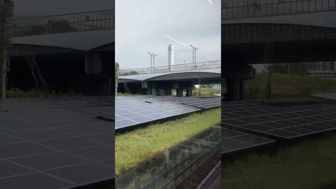 766 Train trip, Chiba