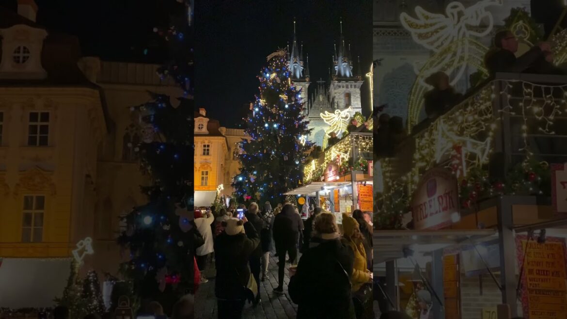 [여행] 체코 프라하 올드타운 - 크리스마스 마켓 #prague #christmasmarkets #프라하  #shorts