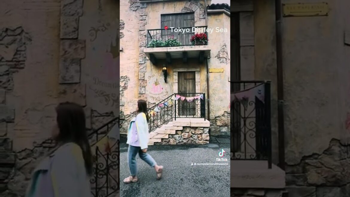 Walk in #Japan #Tokyo #kyoto #Osaka #Asakusa #Tokyotower #tokyoskytree #mtfuji #bullettrain #disney