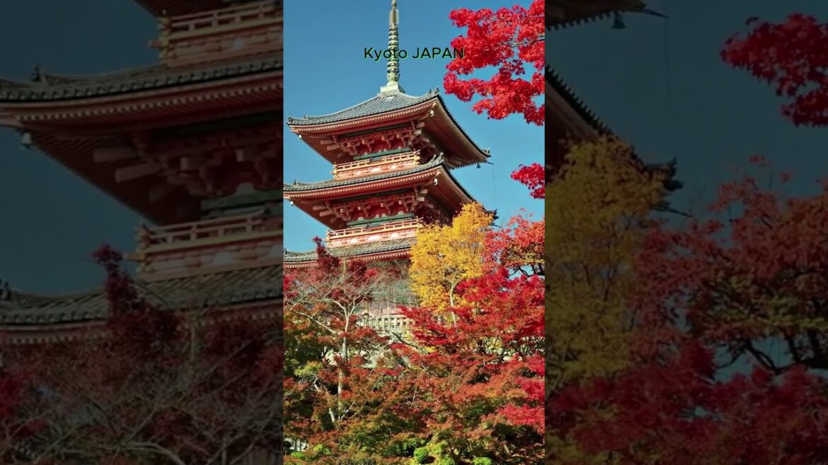 Autumn in Kyoto JAPAN