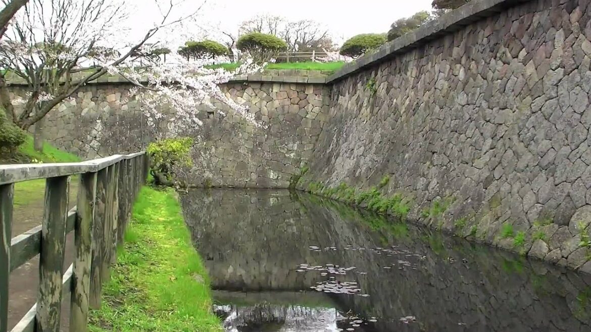 桜満開の五稜郭公園 @北海道函館市 Goryokaku Park & Sakura in Hakodate Hokkaido