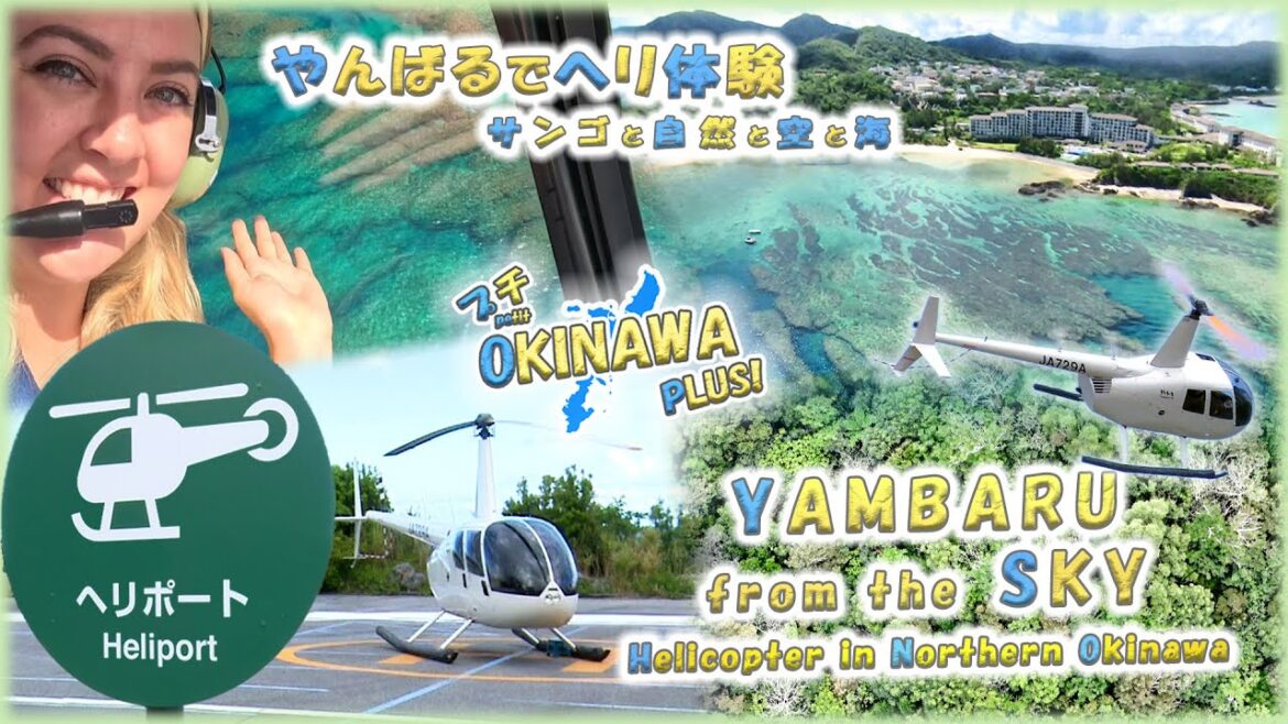 【ロビンソン R44】「🌳やんばるでヘリ体験!🚁サンゴと自然と空と海🌊」(沖縄かりゆしビーチリゾート・オーシャンスパ)【Petit OKINAWA PLUS!】 【ロビンソン R44】「🌳やんばるでヘリ体験!🚁サンゴと自然と空と海🌊」(沖縄かりゆしビーチリゾート・オーシャンスパ)【Petit OKINAWA PLUS!】