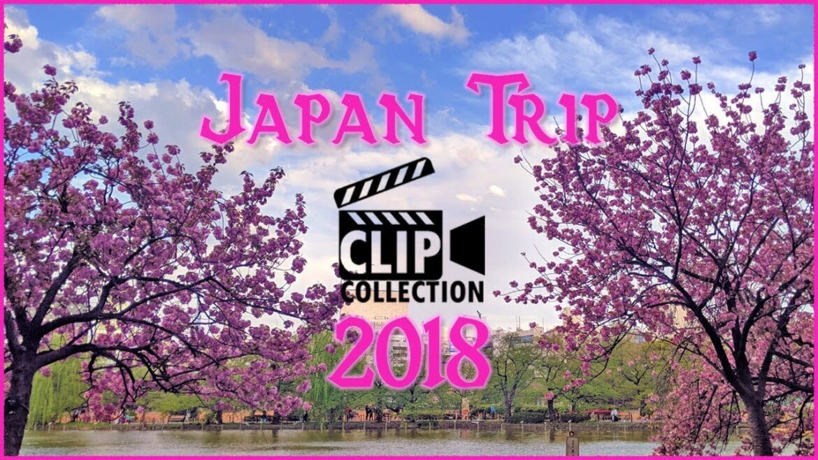 Clip Collection - Japan Trip 2018