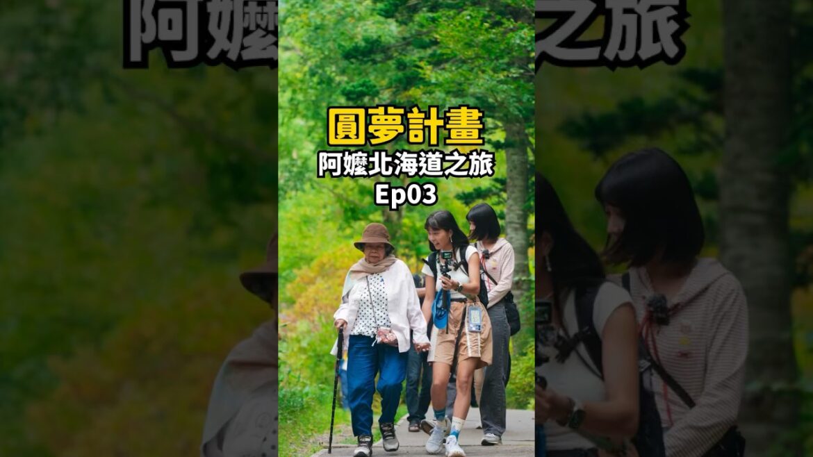 最開心卻最悲慘的一天😭被住宿放鳥帶阿嬤流落街頭？！#shorts #北海道 #日本旅遊