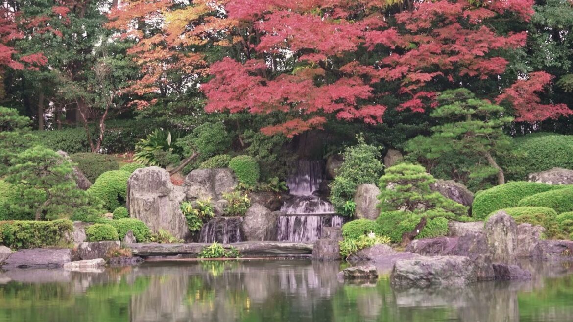 Serene Fukuoka: Autumn Rain & Maple Views at Ohori Garden Waterfall | 1 Hour Relaxation Loop #japan Serene Fukuoka: Autumn Rain & Maple Views at Ohori Garden Waterfall | 1 Hour Relaxation Loop #japan