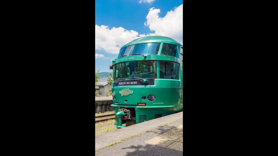 沒搭過「由布院之森」不算來過九州！😎｜吉田社長 Japan TV #shorts