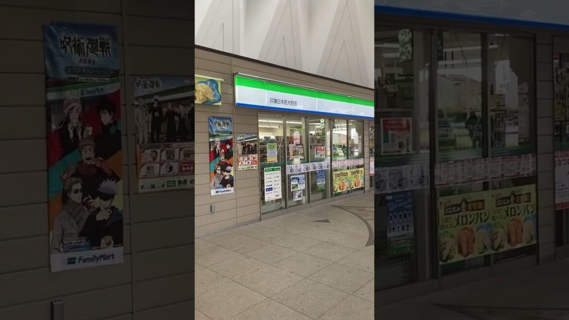 768 Inba Nihon Idai Station, Chiba