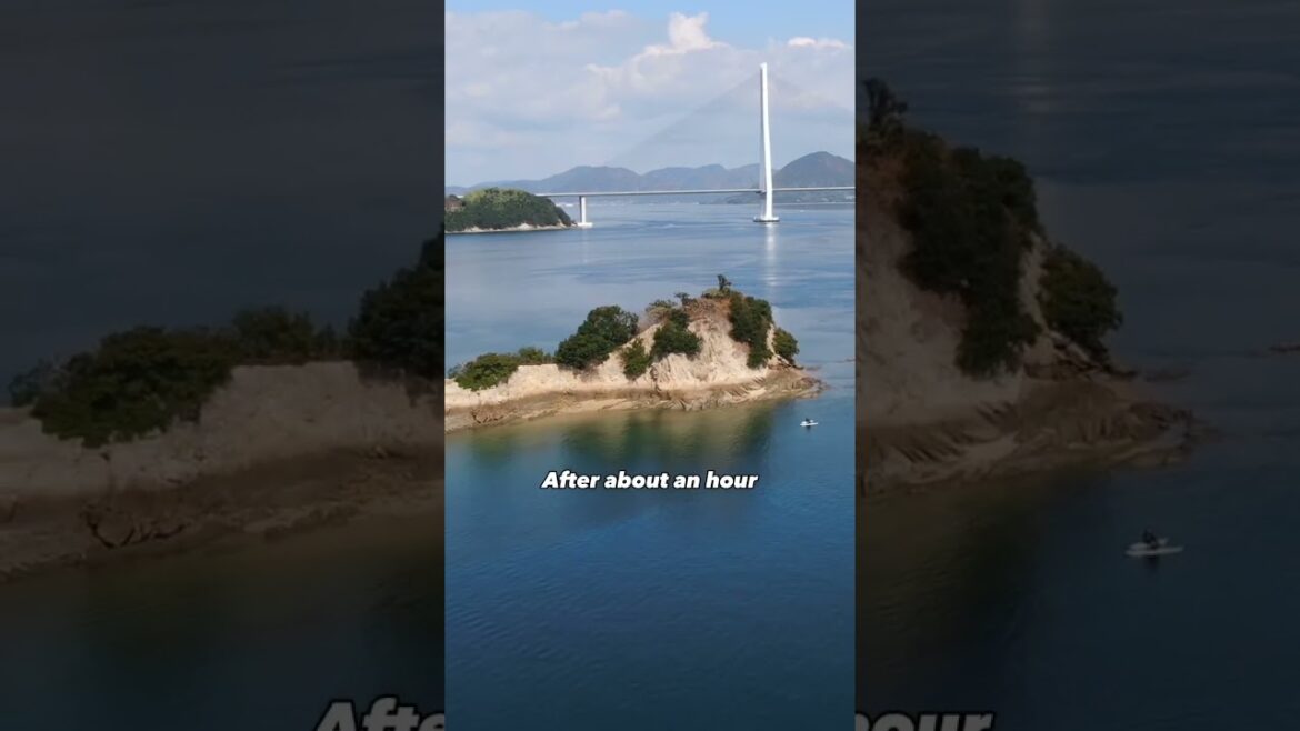 We went on a SUP TOUR in π Ehime, Japan π―π΅π―π΅ #shorts We went on a SUP TOUR in π Ehime, Japan π―π΅π―π΅ #shorts