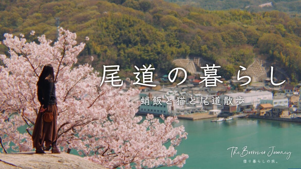 尾道の古民家で暮らしてみた【前編】|猫の細道と路地裏散歩|カフェ巡り|タコ飯を作ってみた|広島県尾道市 尾道の古民家で暮らしてみた【前編】|猫の細道と路地裏散歩|カフェ巡り|タコ飯を作ってみた|広島県尾道市