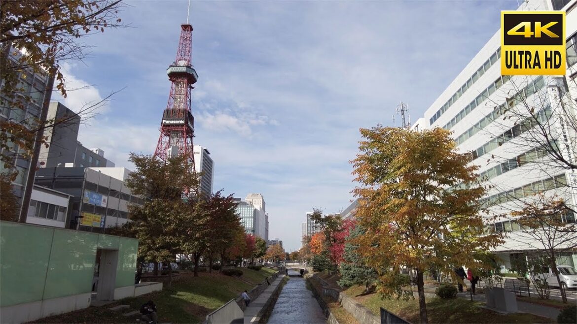 【4K】🇯🇵創成川公園 秋の紅葉 散歩 2023／日本 北海道 札幌 中央区【Binaural ASMR】