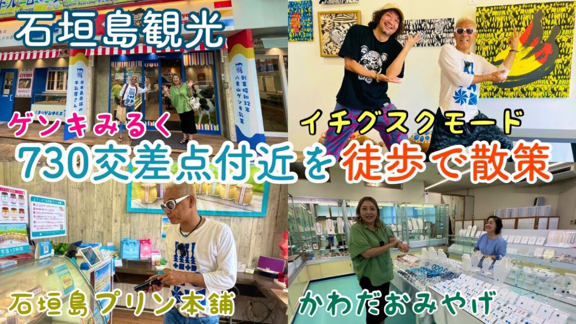 【石垣島観光】730交差点付近をひさびさに徒歩で散策 ブラnozomi😄 【石垣島観光】730交差点付近をひさびさに徒歩で散策 ブラnozomi😄