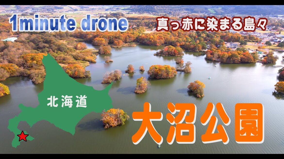 【1min. drone #117】北海道七飯町・大沼公園~真っ赤に染まる島々~ 【1min. drone #117】北海道七飯町・大沼公園~真っ赤に染まる島々~