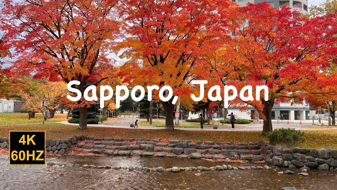 Walk in Sapporo, Japan | 4k Sapporo 札幌 | 札幌 秋 | 札幌散歩 | city walk 4k Walk in Sapporo, Japan | 4k Sapporo 札幌 | 札幌 秋 | 札幌散歩 | city walk 4k