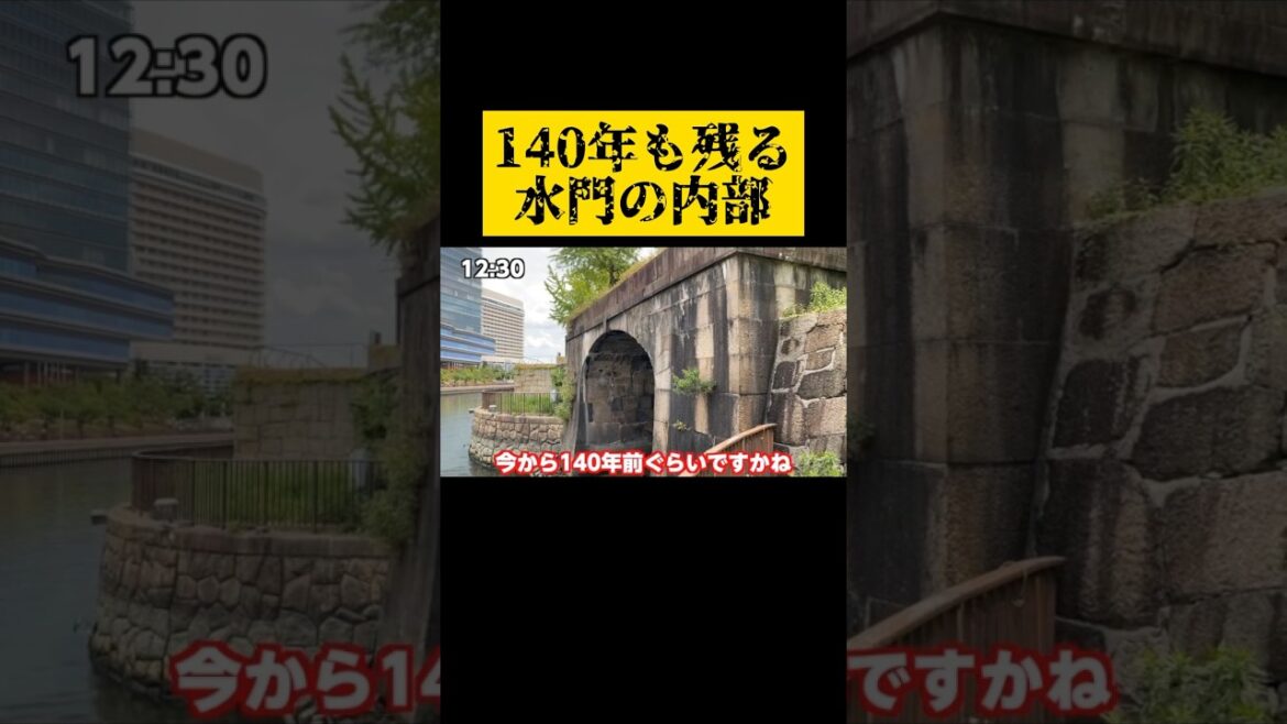 スゴいですよね