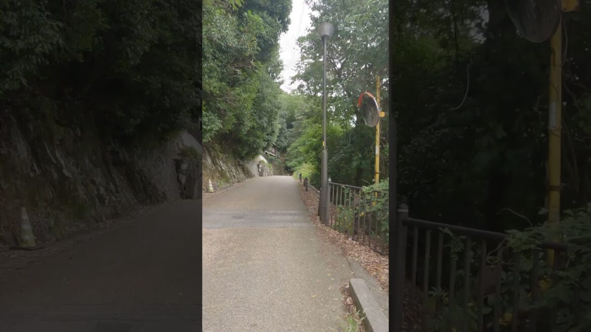 IN JAPAN #japan #travel #walk #japanese