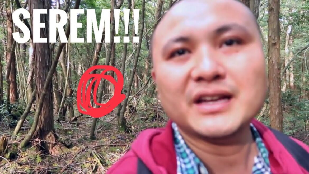 HGJ VLOG 74 – GILAA!!!pernah KE HUTAN AOKIGAHARA???MAIN DRONE!!! HGJ VLOG 74 - GILAA!!!pernah KE HUTAN AOKIGAHARA???MAIN DRONE!!!