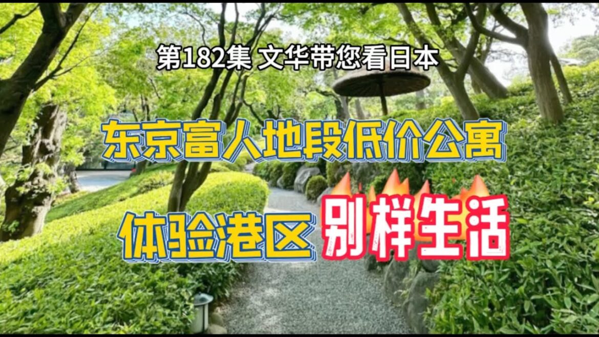 RealEstate-東京港區地段低價公寓｜體驗富人地段別樣生活｜時尚個性｜東京塔 [日本房產] [生活] [留學]#life #japan #tokyo #house #youtube #home