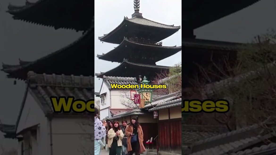 Kyoto #travel #places #shorts #explore #nature #adventure #facts #japan