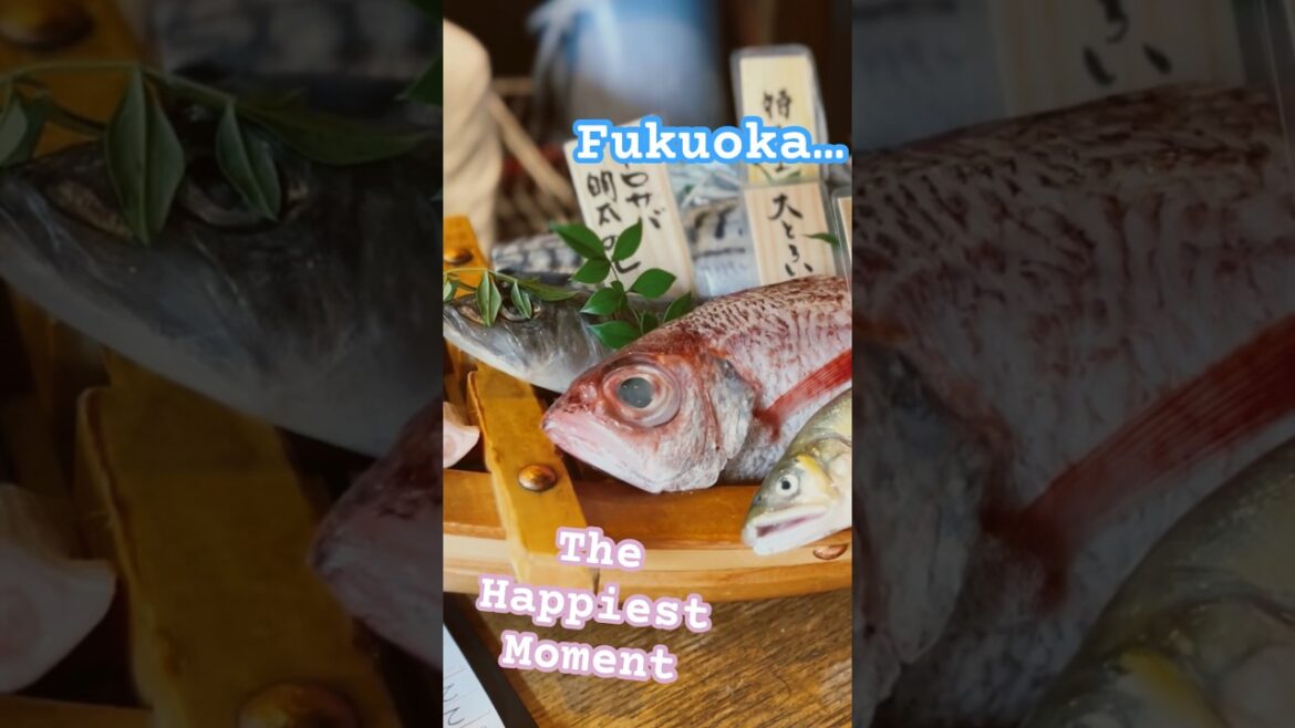 I love Fukuoka Japan and the real fresh delicious foods.  #후쿠오카  #쇼츠 #쇼츠리안 #shorts #shortslian I love Fukuoka Japan and the real fresh delicious foods.  #후쿠오카  #쇼츠 #쇼츠리안 #shorts #shortslian