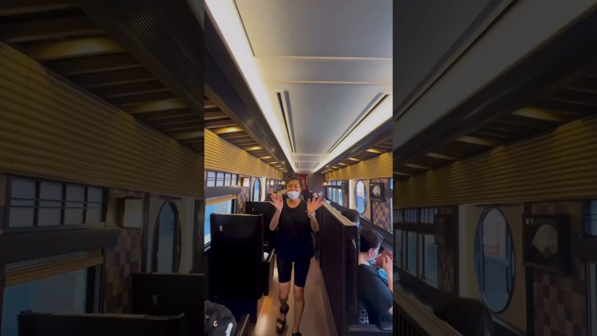 3 INSANE Trains you can ride in Japan! The 2nd one is 🤯 3 INSANE Trains you can ride in Japan! The 2nd one is 🤯