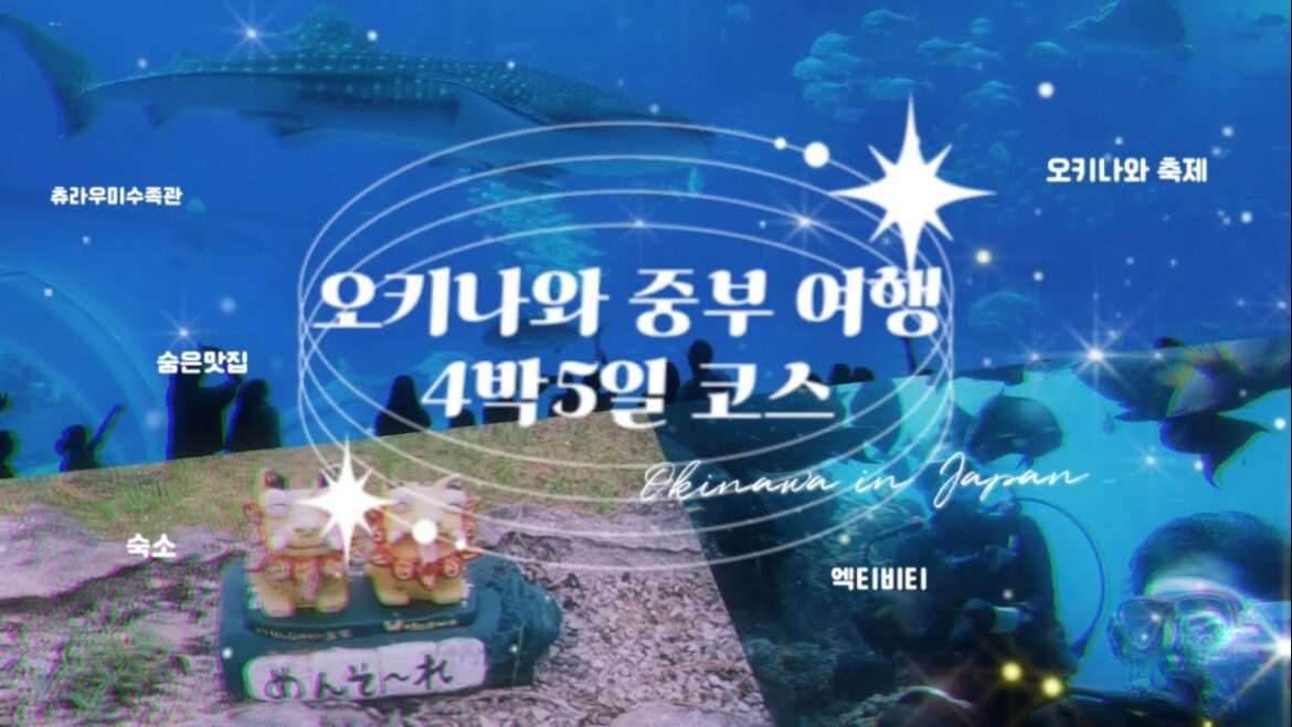일본 오키나와 중부 4박5일 여행코스 | 오키나와 축제 | 츄라우미수족관 | 오키나와 맛집 | 오키나와숙소