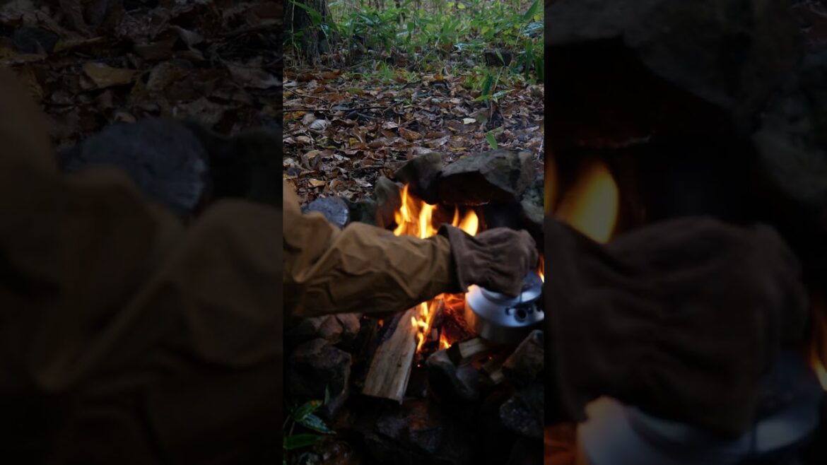 Escaped for a weekend camping trip in Hokkaido, Japan. | Part 5🍁🪵🏕️#fall #autumn #camping #shorts