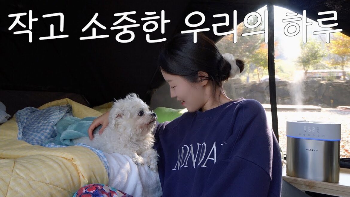 ๐์ดํฌ์ ๊ฐ์์ด ๋ด๋ ค ์์ ๋๋ฌด๋ค ์ฌ์ด ๊ท์ฌ์ด ๊ฐ์์ง์ 1๋ฐ2์ผ / ์ญ๊พธ๋ฏธ ์ฝ๊ฒน์ด๊ณผ ์ฝ์น์ฆ, ๋ง๋ฌด๋ฆฌ ๋ณถ์๋ฐฅ์ ๊ตญ๋ฃฐ. ์ก์นผ์ ๊ณจ / ์๋ก ์บ ํ / ์ ๊ฒฌ๋๋ฐ์บ ํ / ์ ๋ถ ์์ฐฝ ํ๋ฌธ๋๋ ๐์ดํฌ์ ๊ฐ์์ด ๋ด๋ ค ์์ ๋๋ฌด๋ค ์ฌ์ด ๊ท์ฌ์ด ๊ฐ์์ง์ 1๋ฐ2์ผ / ์ญ๊พธ๋ฏธ ์ฝ๊ฒน์ด๊ณผ ์ฝ์น์ฆ, ๋ง๋ฌด๋ฆฌ ๋ณถ์๋ฐฅ์ ๊ตญ๋ฃฐ. ์ก์นผ์ ๊ณจ / ์๋ก ์บ ํ / ์ ๊ฒฌ๋๋ฐ์บ ํ / ์ ๋ถ ์์ฐฝ ํ๋ฌธ๋๋