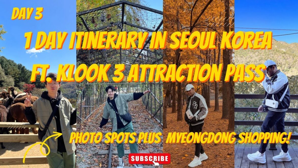 KOREA VLOG 2023 WENT TO ALPACA WORLD, RAIL PARK, NAMI ISLAND AND SKIN CARE SHOPPING IN MYEONGDONG! KOREA VLOG 2023 WENT TO ALPACA WORLD, RAIL PARK, NAMI ISLAND AND SKIN CARE SHOPPING IN MYEONGDONG!