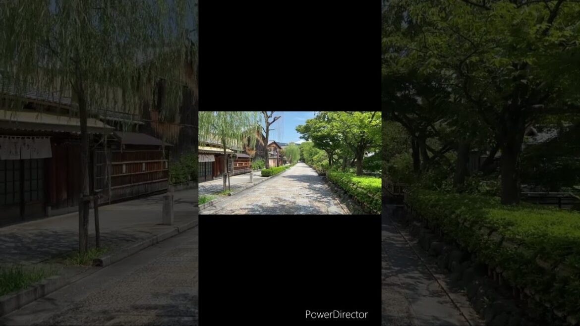 【KYOTO】Extraordinary View - Shirakawa Lane