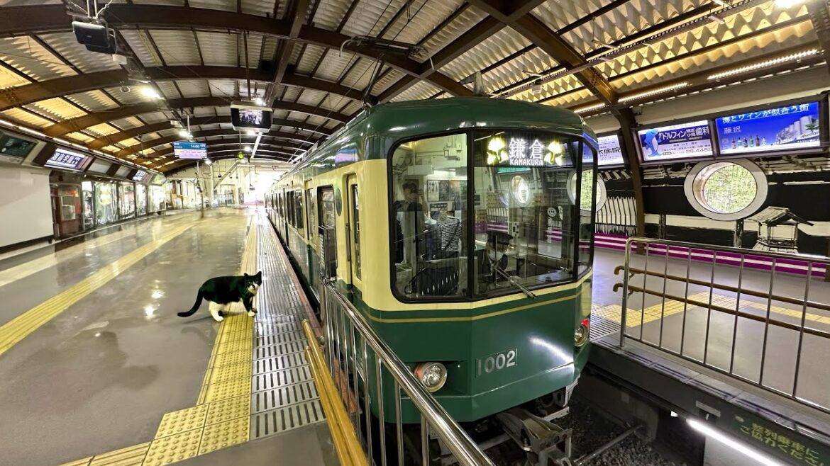 슬램덩크 성지 찾아 도쿄에서 카마쿠라까지 | 에노시마 해변/후지산/카마쿠라코코메