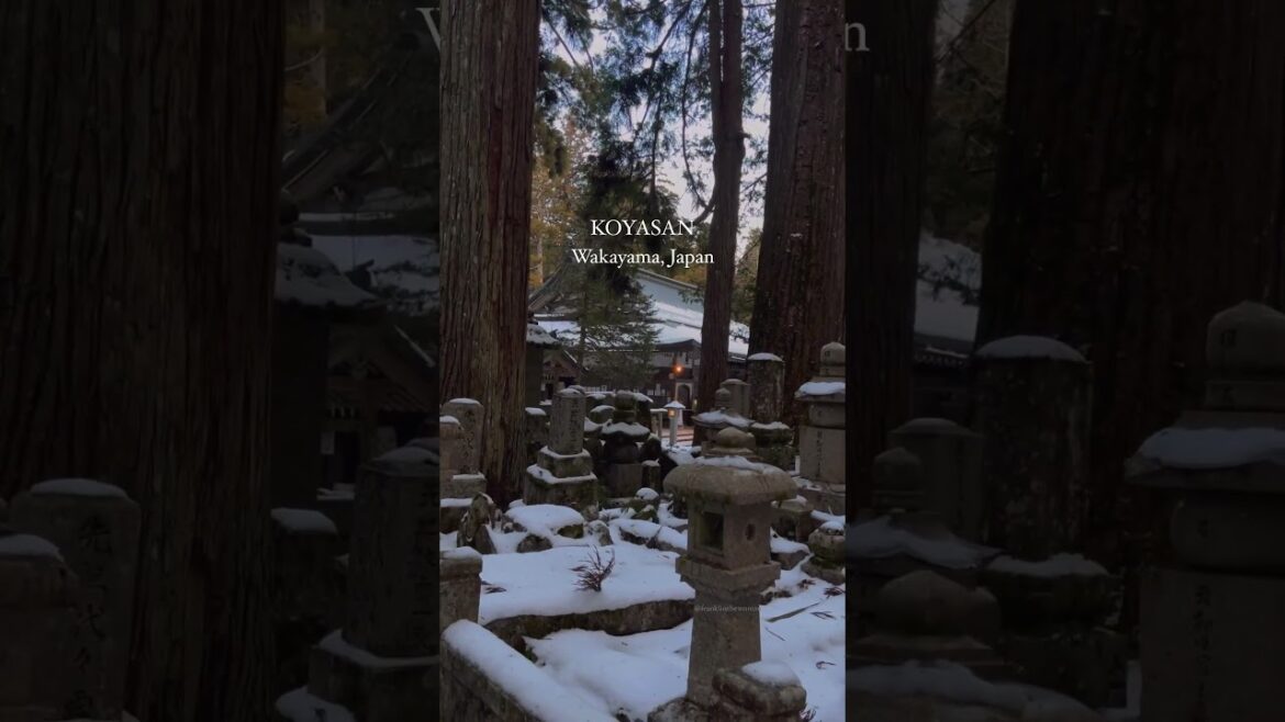 Okunoin es mucho más espiritual que espeluznante | japan