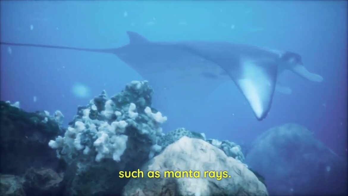 Okinawa in Japan. By Pictory ai Okinawa in Japan. By Pictory ai