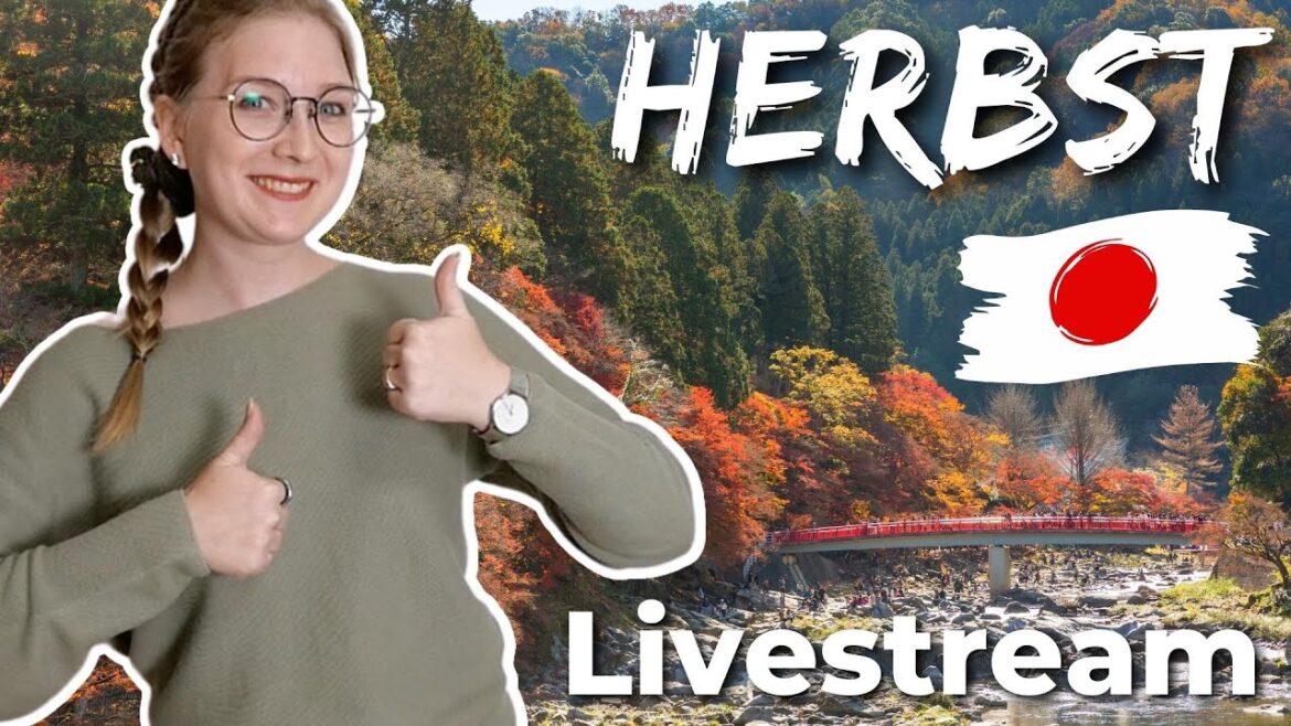 Schon wieder Herbst in Japan! [Livestream]