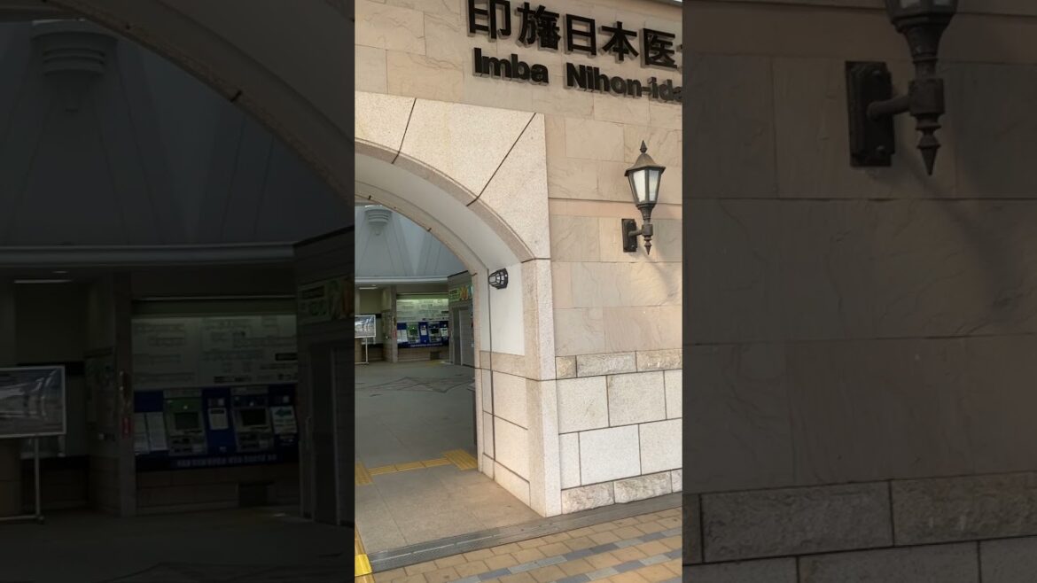 773 Inba Nihon Idai Station, Chiba