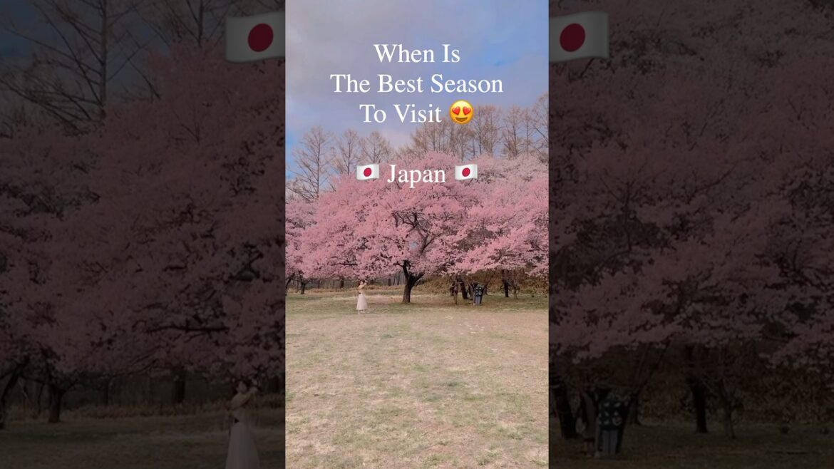 Four Seasons in Japan #shorts #travel #viral