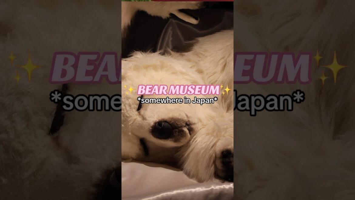 Teddy bear museum in Japan #explorejapan #travelcouple #takayama