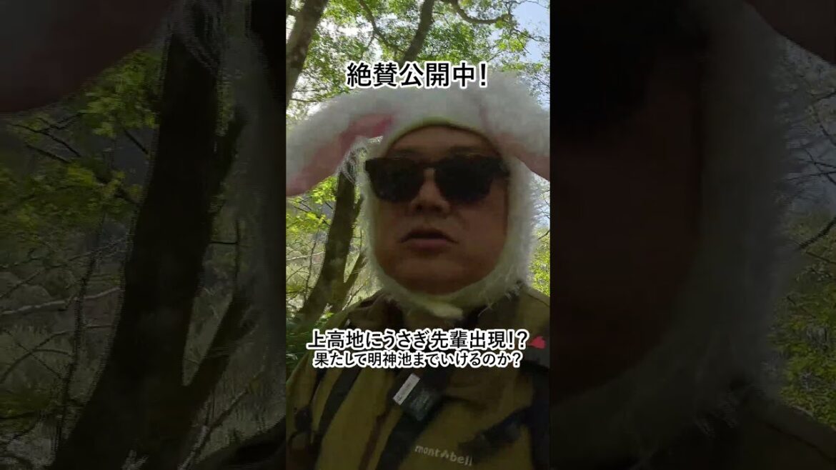 【ナガトリ】長野といえば上高地！一周歩いてみた！_後編 #長野県 #松本市 #上高地 #中央タクシー