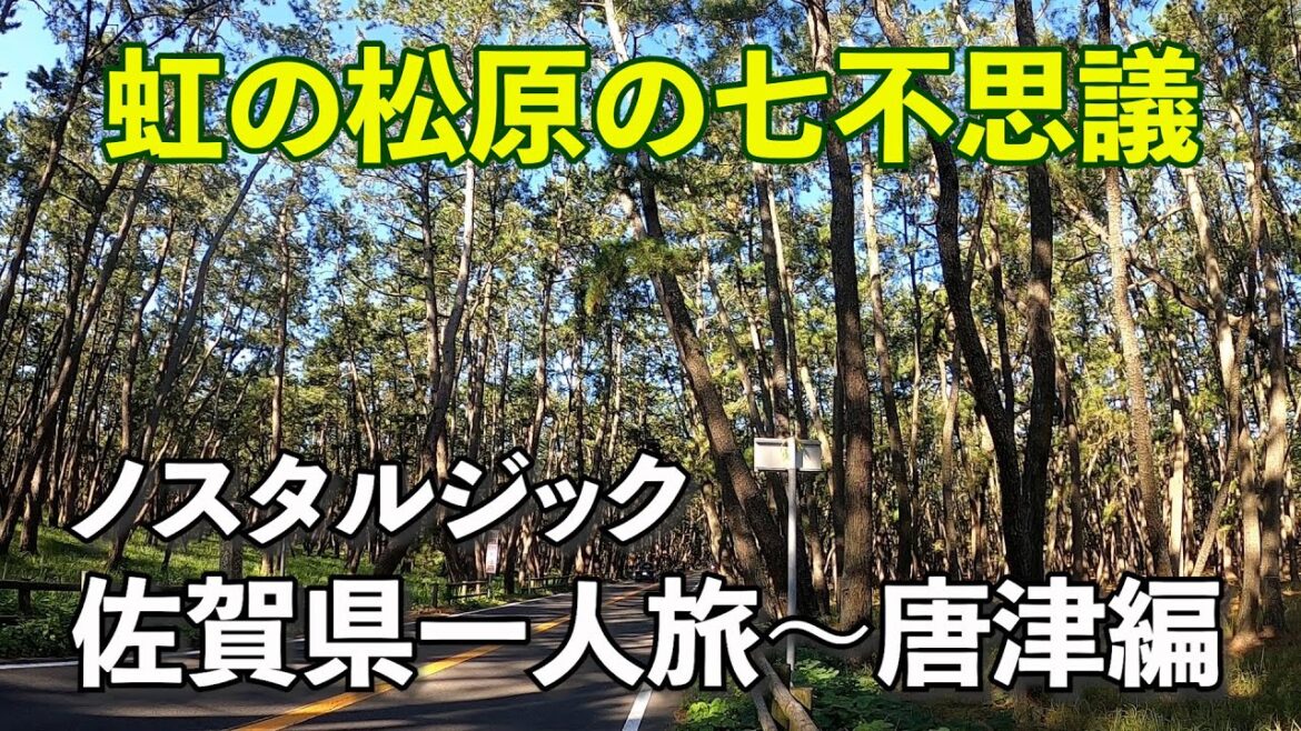 【その日暮らしの一人旅】佐賀県大冒険③（唐津市） 名勝？心霊？七不思議？唐津のシンボル・虹の松原と唐津城下を歩いてみた