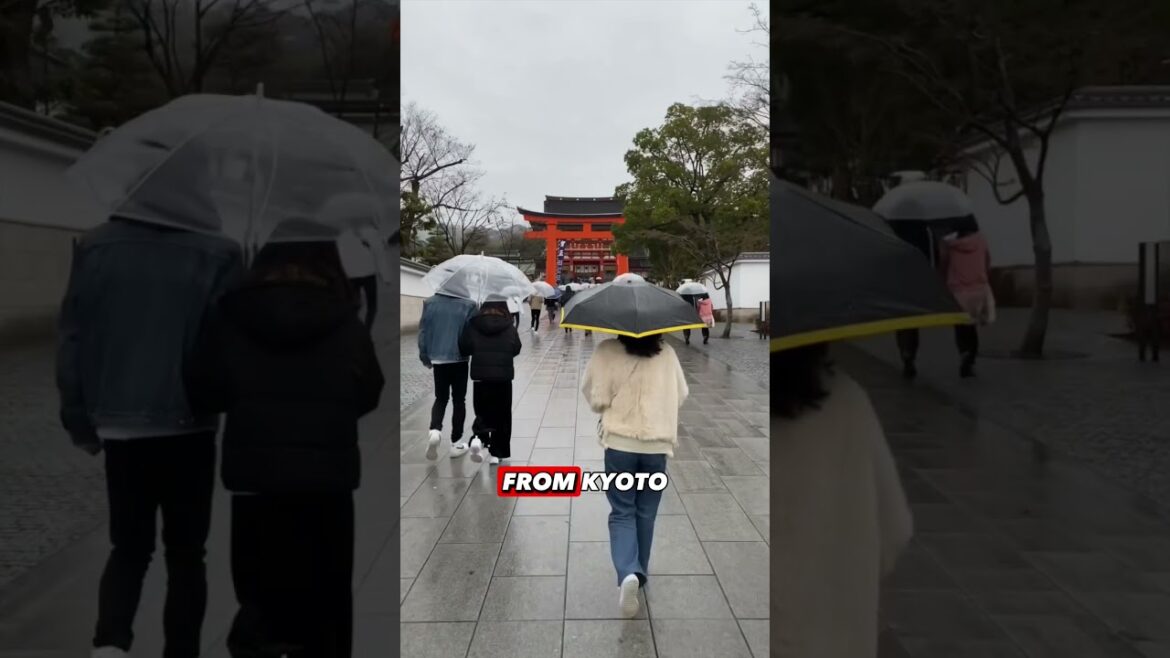 Don’t skip this on your next trip to Japan! #japantravel #osakadaytrip #kyotodaytrip