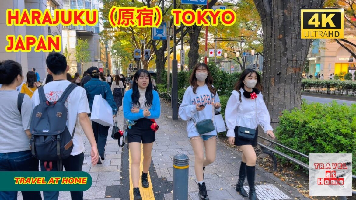 4k hdr japan travel | Walk in Harajuku(原宿)Tokyo japan | Relaxing Natural City ambience 4k hdr japan travel | Walk in Harajuku(原宿)Tokyo japan | Relaxing Natural City ambience