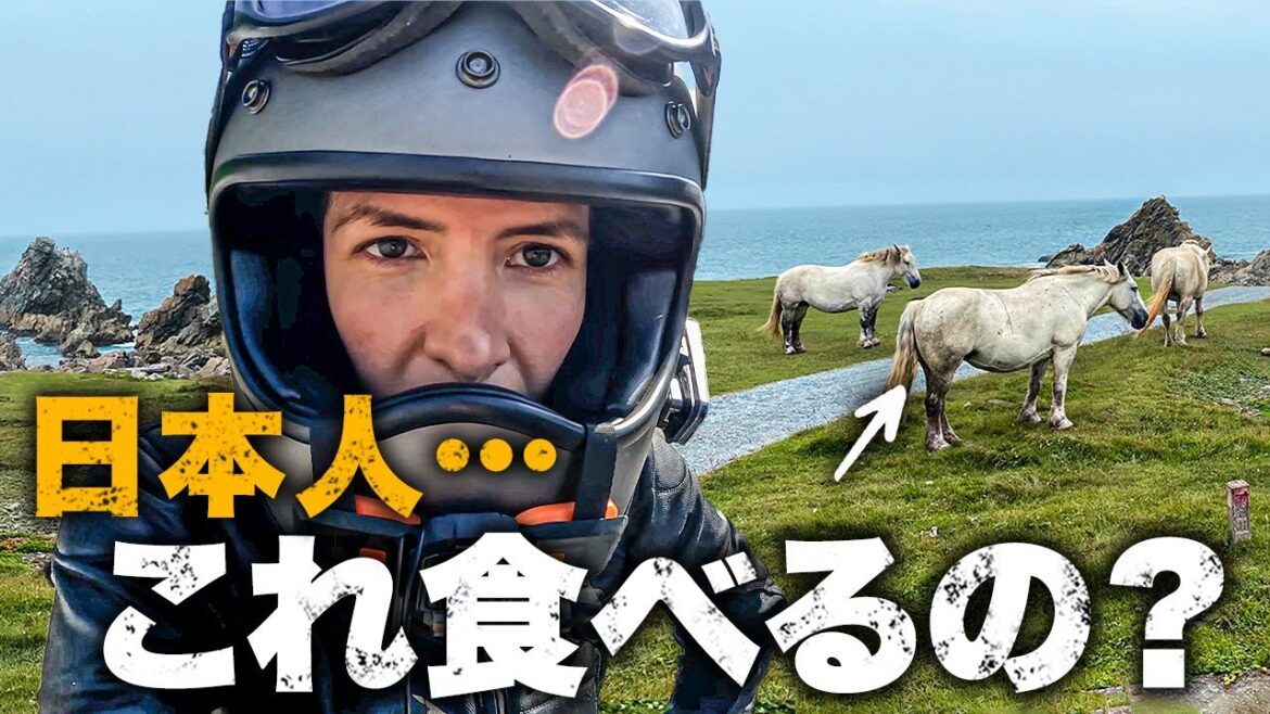 日本で馬を食べる事を初めて知って衝撃を受ける｜外国人夫婦の日本縦断バイク旅 19日目【青森】