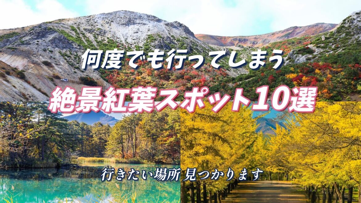 ◆2023年 関東周辺の紅葉状況は? 11/6現在の最新情報を! 必見!何度でも行ってしまう絶景紅葉スポット10選!行きたい場所が見つかります! ◆2023年 関東周辺の紅葉状況は? 11/6現在の最新情報を! 必見!何度でも行ってしまう絶景紅葉スポット10選!行きたい場所が見つかります!