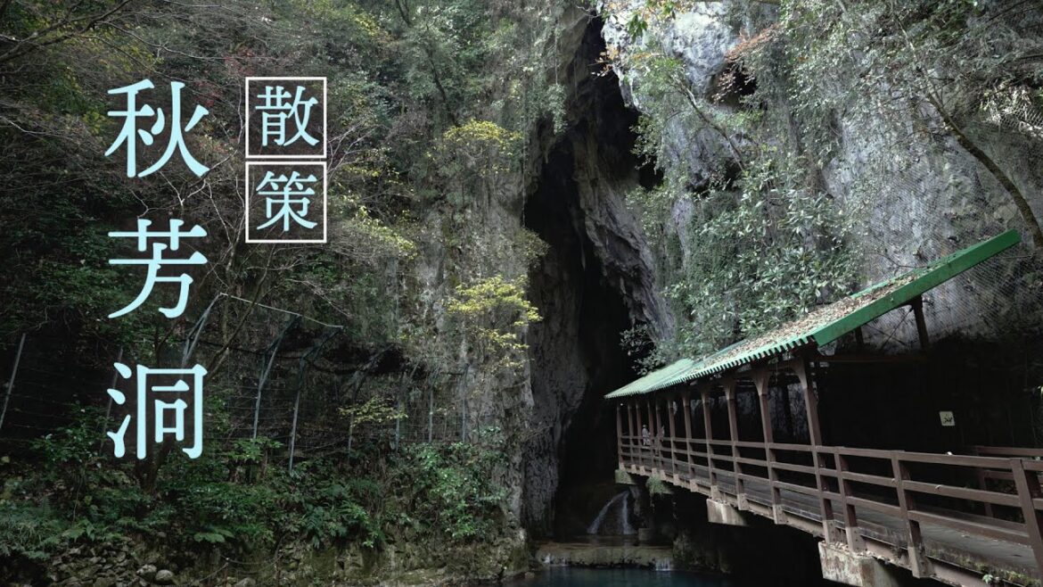 秋芳洞 散策:日本屈指の大鍾乳洞 | Walking Around Akiyoshidō cave 秋芳洞 散策:日本屈指の大鍾乳洞 | Walking Around Akiyoshidō cave