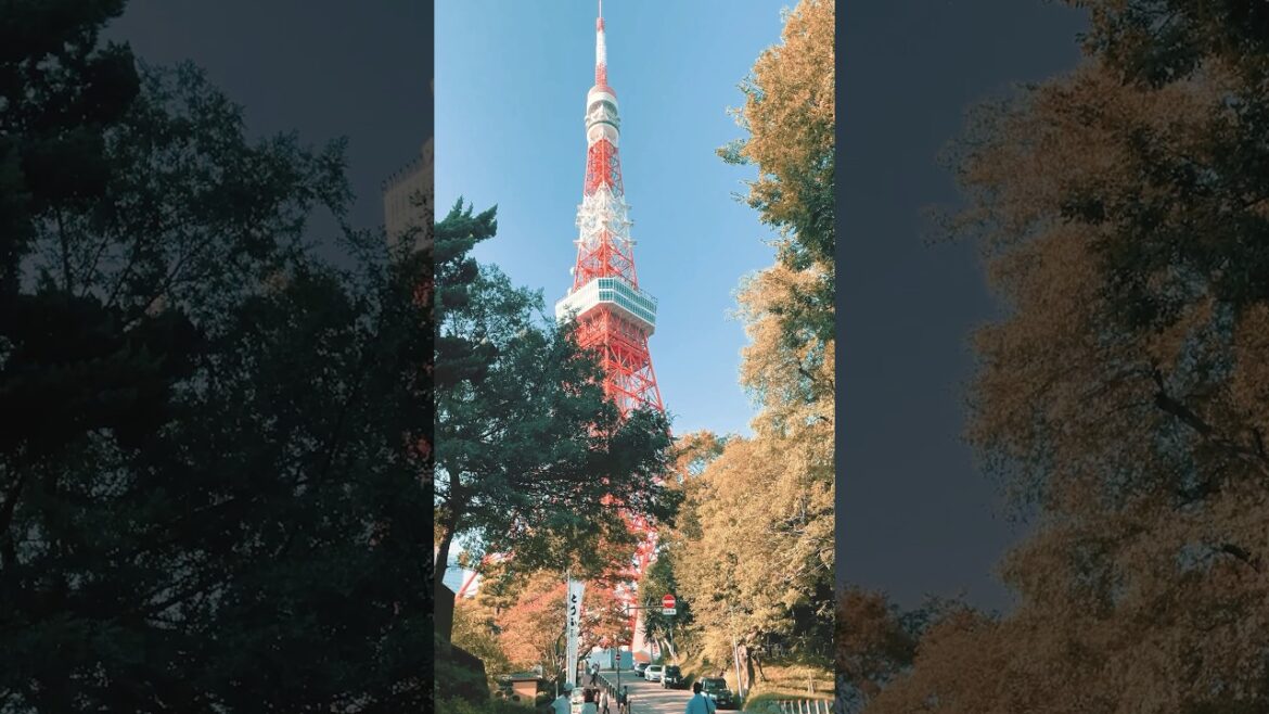 👀🗼Beautiful Tokyo Tower! Japan walking #Japan #travel #travelvlog #traveling #shorts #tokyo #viral 👀🗼Beautiful Tokyo Tower! Japan walking #Japan #travel #travelvlog #traveling #shorts #tokyo #viral