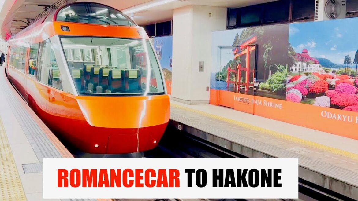 Travel to Hakone Enjoying Spectacular Views from the Romancecar | Day Trip from Shinjuku Station