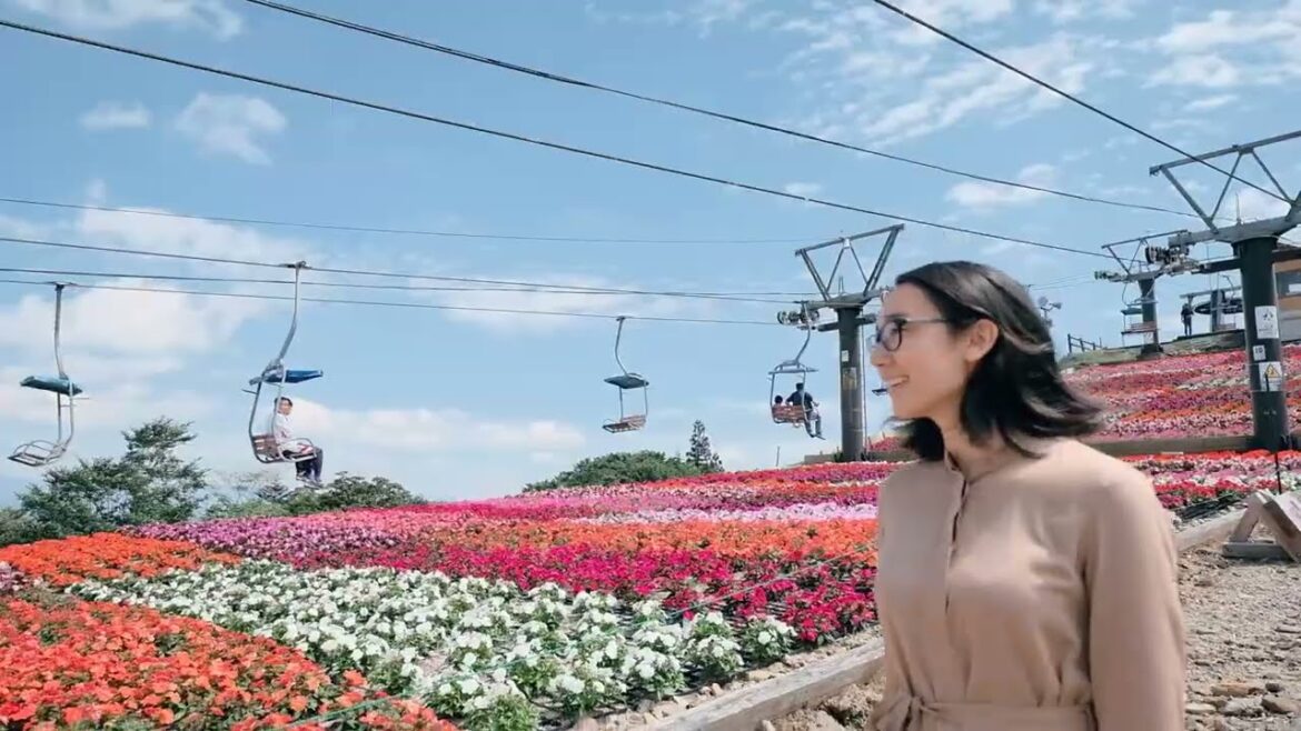 奥三河旅：四谷の千枚田・芝桜まつり・きららの森 Okumikawa Trip