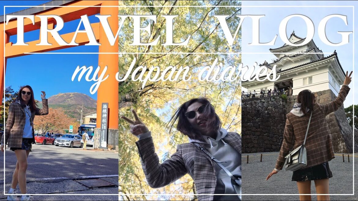 TRAVEL VLOG | Japan travel vlog, Hakone, Day trip from Tokyo, abroad in Japan #japantravel