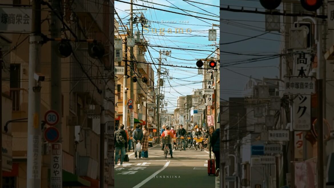 Small train in Tokyo #travel #japan #japantravel #junxniina #shorts #travelvlog